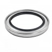 Uszczelnienie wału modułu sprężarki śrubowej B2PT 75x100x10 PTFE Uszczelnienie wału modułu sprężarki śrubowej B2PT 75x100x10 PTFE