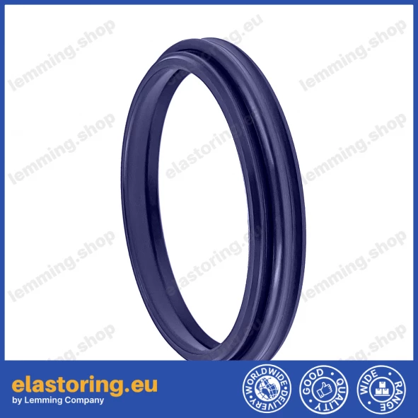 PIERŚCIEŃ WDA 25x31x4/6 [2EWDA450]