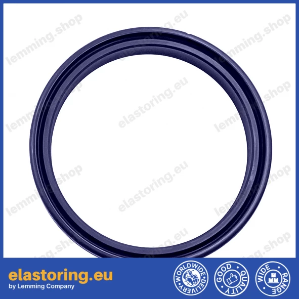 PIERŚCIEŃ WDA 25x31x4/6 [2EWDA450]