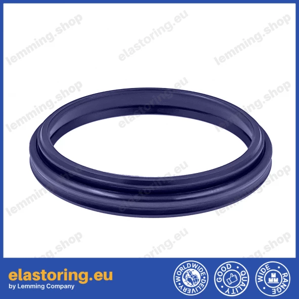 PIERŚCIEŃ WDA 25x31x4/6 [2EWDA450]