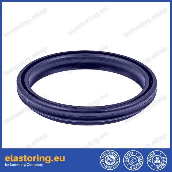 PIERŚCIEŃ WDA 25x31x4/6 [2EWDA450]