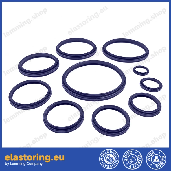 PIERŚCIEŃ WDA 25x31x4/6 [2EWDA450]