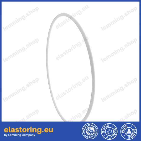 O-ring 105x3 PTFE