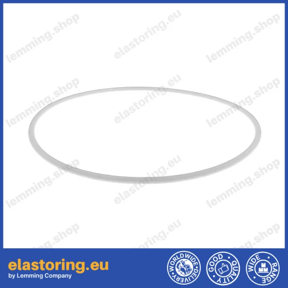 O-ring 105x3 PTFE