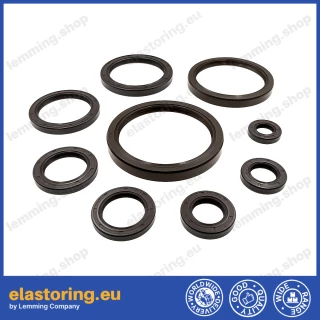 Simmering WDR-AS 65x85x8 FPM