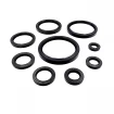 Simmering WDR-AS 17x30x7 NBR Simmering WDR-AS 17x30x7 NBR
