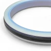 PIERŚCIEŃ PHP 50x36x9 CX [2EPHP092]
