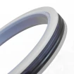 PIERŚCIEŃ PHP 50x36x9 CX [2EPHP092]