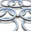PIERŚCIEŃ PHP 50x36x9 CX [2EPHP092]