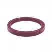 PIERŚCIEŃ XT200-28x38x8 PU PIERŚCIEŃ XT200-28x38x8 PU
