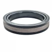 PAKIET TŁOKOWY 115x100x12,5 A103 PTFE/NBR/POM