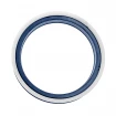 PIERŚCIEŃ U 250x220x18,6 T18 PU