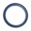 PIERŚCIEŃ U 250x220x18,6 T18 PU