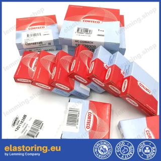 Simmering 56x75x22,5 COMBI NBR