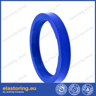 PIERŚCIEŃ FR200-20x28x5,67