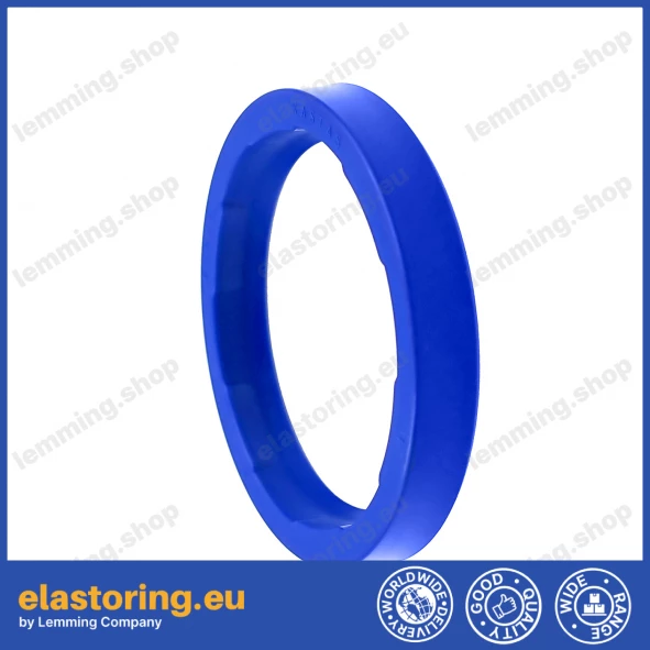PIERŚCIEŃ FR200-25x33x5,67 PIERŚCIEŃ FR200-25x33x5,67