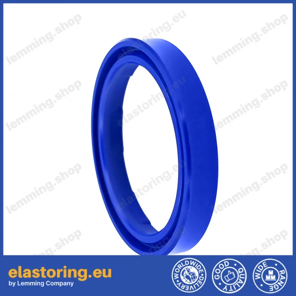 PIERŚCIEŃ FR200-25x33x5,67 PIERŚCIEŃ FR200-25x33x5,67
