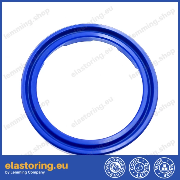 PIERŚCIEŃ FR200-25x33x5,67 PIERŚCIEŃ FR200-25x33x5,67