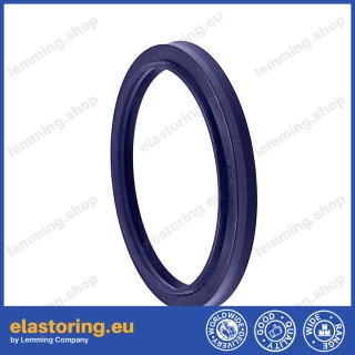 PIERŚCIEŃ WED 30x38x5/7 C0 [2EWED154]