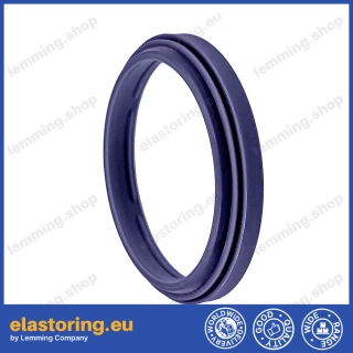 PIERŚCIEŃ ZGARNIAJĄCY WWS 36x44x4/7 C0 [2EWWS085]