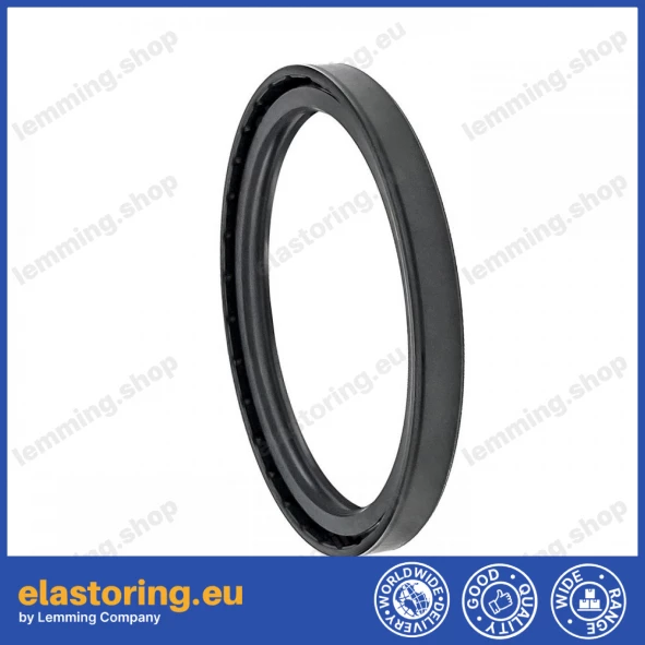 Simmering 100x120x12 TCV NBR