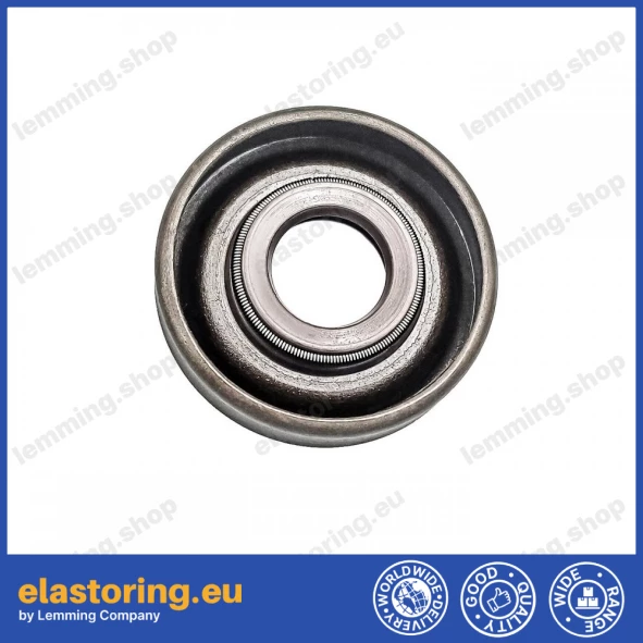 Simmering 10x25,4x6 TBV FPM Simmering 10x25,4x6 TBV FPM