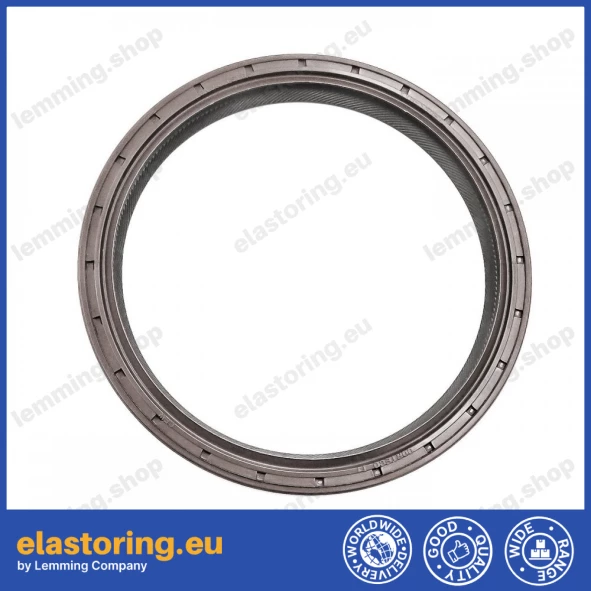 Simmering 110x130x13 B1BAVISLRS FPM