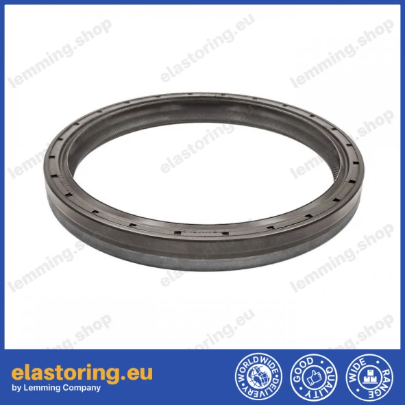 Simmering 110x130x13 B1BAVISLRS FPM