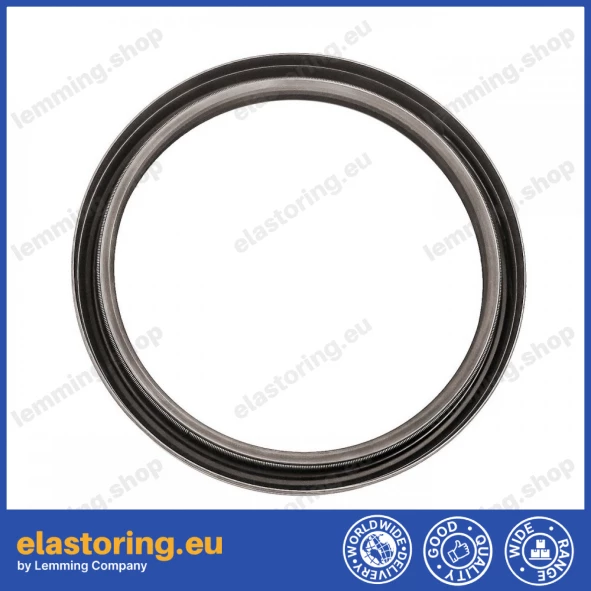 Simmering 110x130x13 B1BAVISLRS FPM