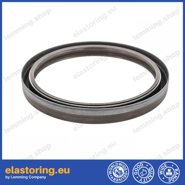 Simmering 110x130x13 B1BAVISLRS FPM