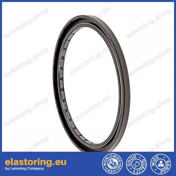 Simmering 110x130x7 BAFSL1SF FPM