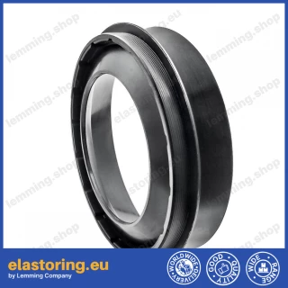 Simmering 113x160x13,5/15 B1BAOFSFL23X7 NBR