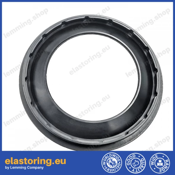 Simmering 113x160x13,5/15 B1BAOFSFL23X7 NBR