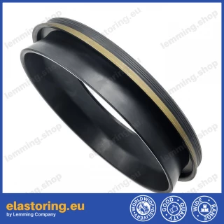 Simmering 125x180x12/15 BDOFSLFSFX7 NBR