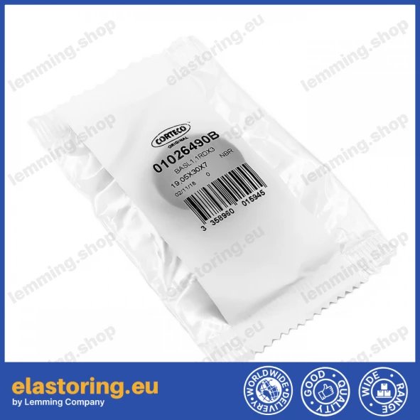 Simmering 19,05x30x7 BASL1,1RDX3 NBR Simmering 19,05x30x7 BASL1,1RDX3 NBR