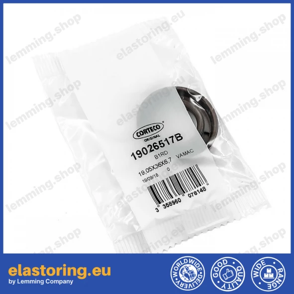 Simmering 19,05x36x6,7 B1RD