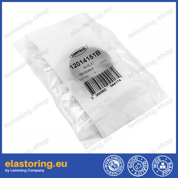 Uszczelnienie wału 19x30x6,5 BAVILDSLX7 FPM