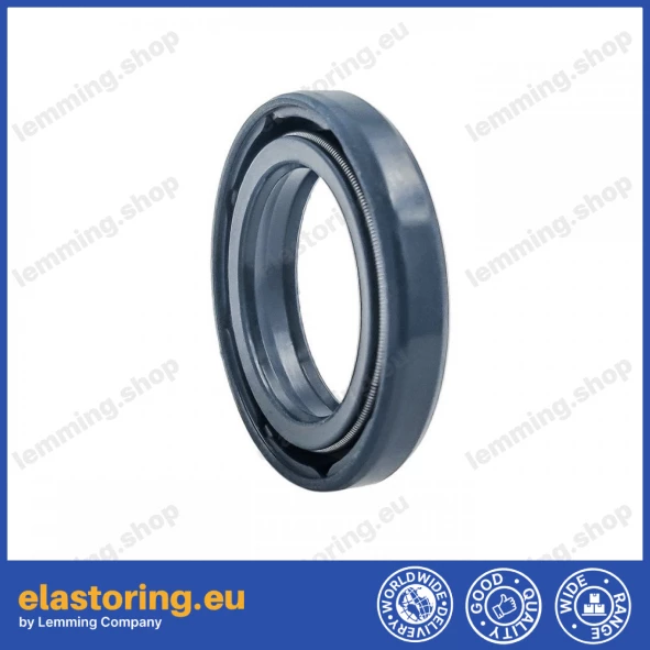 Simmering 20x30x5/6 BAFSFSL NBR