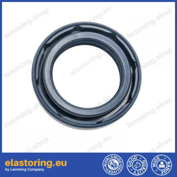 Simmering 20x30x5/6 BAFSFSL NBR