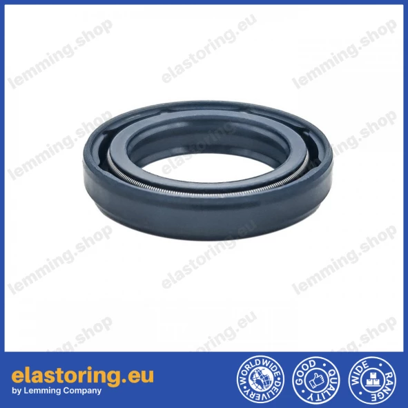 Simmering 20x30x5/6 BAFSFSL NBR