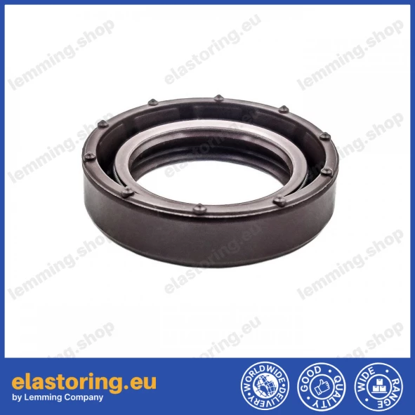 Simmering 20x30x7 BASL FPM