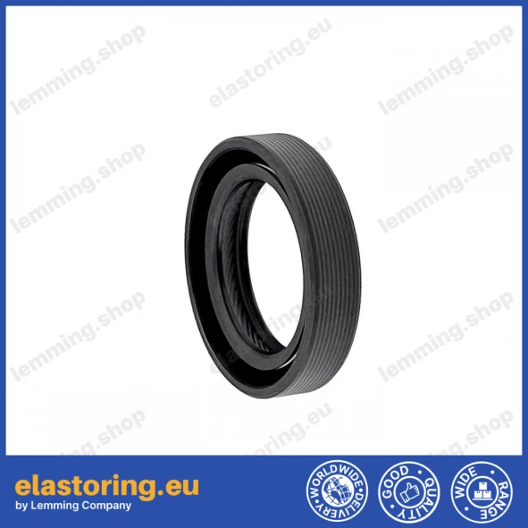 Simmering 22x32x7 BASLRDX7 ACM