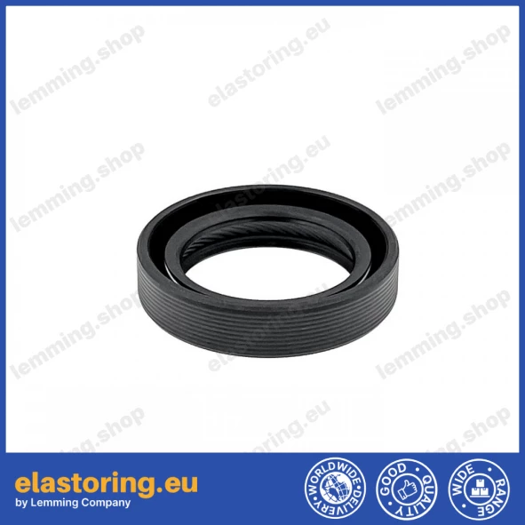 Simmering 22x32x7 BASLRDX7 ACM