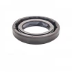 Simmering 22x35x6 BAFSL1F FPM Simmering 22x35x6 BAFSL1F FPM