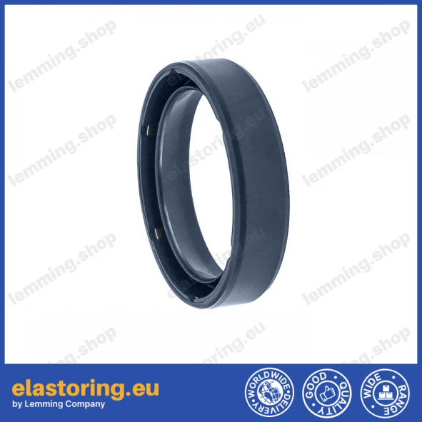 Simmering 25x31x7 BAOF NBR