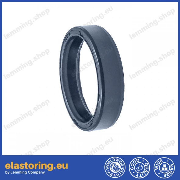 Simmering 25x31x7 BAOF NBR