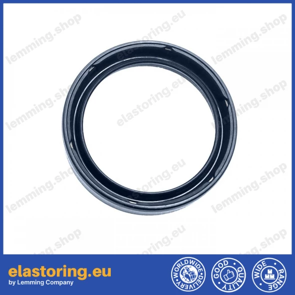 Simmering 25x31x7 BAOF NBR