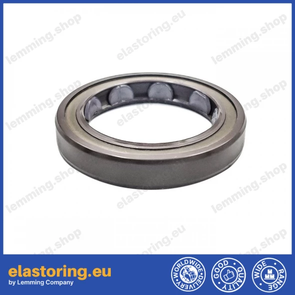 Simmering 25x35x6 BAFSLSF FPM Simmering 25x35x6 BAFSLSF FPM