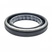 Simmering 38,15x57,15x9,5 UP0234F NBR