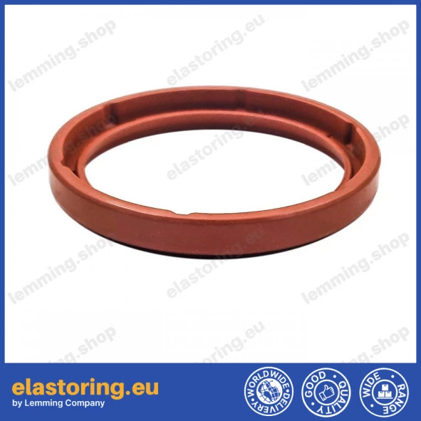 Simmering 40x49,6x5,5 BASF VMQ